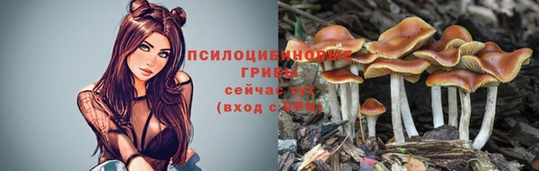 синтетический гашиш Балахна