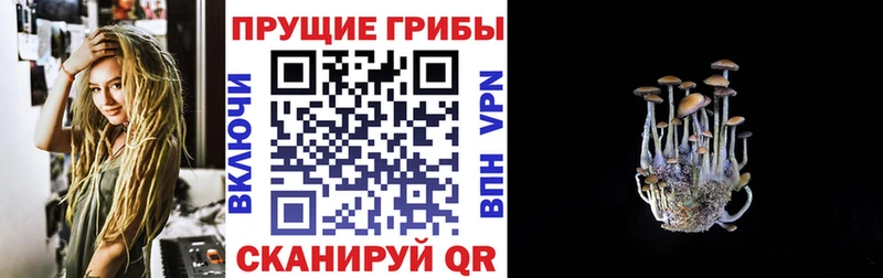 Галлюциногенные грибы MAGIC MUSHROOMS купить закладку МЕГА вход Гаврилов Посад